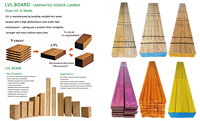 High Strength LVL Beams for Formwork | Structural Pine Timber for Concrete Shuttering Australia NZ Standard Construction Wood