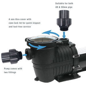 <span class=keywords><strong>Pompe</strong></span> de circulation d'eau auto-amorçante J11505, 2 CV, homologuée SAA, pour piscines résidentielles - Product Image 4