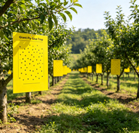 Grote gele kleefplaat voor insecten, zoals vliegen, bladluisjes en thrips, voor gebruik in de landbouw en boomgaarden.
