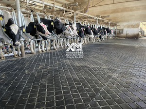 Tapis en caoutchouc de haute qualité pour vaches, antidérapant, imperméable, durable, pour élevages laitiers, écuries d'animaux, granges à bétail - Product Image 4