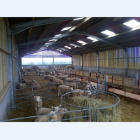 Abri de ferme en acier de style traditionnel de haute qualité, préfabriqué, pour l'élevage de porcs, de moutons, de vaches, de chèvres, maison pour chèvres