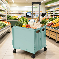 Boîtes de rangement pliables écologiques multi-usages avec poignée télescopique, capacité 45/65L, pour le stockage alimentaire en cuisine, stable
