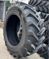 Catalogue de pneus Advance AR1200 600/60R28 900/60R38 Pneus de tracteur SAMSON Caoutchouc naturel Garantie de 2 ans Pneus agricoles en vente