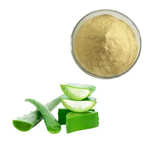 Factory Supply Natürlicher Aloe Vera Extrakt Bio Aloe Vera Extrakt Emodin Aloe Emodin 95% Massen pulver