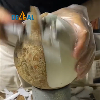 Lame de couteau à éplucher à la noix de coco en acier inoxydable 304 Taro Skin Papaye
