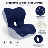 Coussin de siège lombaire en maille respirante, mousse à mémoire de forme haute densité, antistatique, housse amovible pour employés de bureau, conducteurs, fauteuils roulants