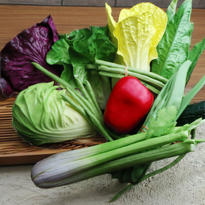 Vegetales Artificiales FloDecor al por Mayor, Apio, Berenjena, Pepino y Ajo de Plástico con Tacto Real para Cocina, Restaurante y Acción de Gracias - Product Image 2
