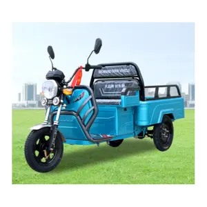 Livraison Cargo Tricycle électrique Tricycle à trois roues Camion électrique Nouveau produit 700w/ 1000w V28 Tricycle à 3 roues ouvert> 60V