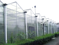 Serres en polycarbonate Equipement PC Serres vertes pour la culture agricole