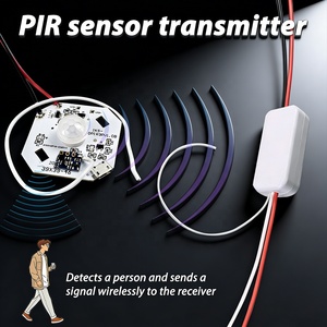 Capteur de mouvement PIR RF 433 MHz rechargeable, émetteur sans fil avec récepteur traversant les murs, alarme antivol 12V/24V, temporisation d'extinction automatique - Product Image 1