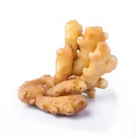 Ginger fresh ginger exporters China new crop best quality root laiwu fresh ginger wholesale