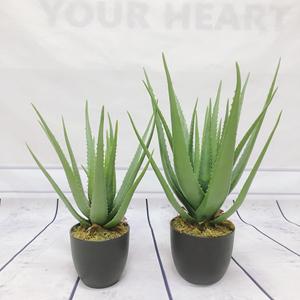 Bonsái de <span class=keywords><strong>Agave</strong></span> de Aloe Vera Tropical Artificial más vendido, hoja de hierba de simulación realista de plástico verde <span class=keywords><strong>pequeño</strong></span> para decoración del hogar - Product Image 5