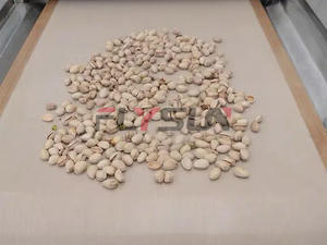 Séchoir tunnel à micro-ondes Flysun pour produits carnés, machine de stérilisation et de séchage à bande transporteuse, machine de séchage alimentaire à micro-ondes - Product Image 3