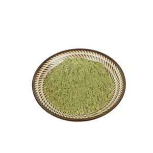 Poudre de varech séchée de qualité alimentaire, riche en iode et en minéraux, issue d'algues marines naturelles, pour l'assaisonnement - Product Image 5
