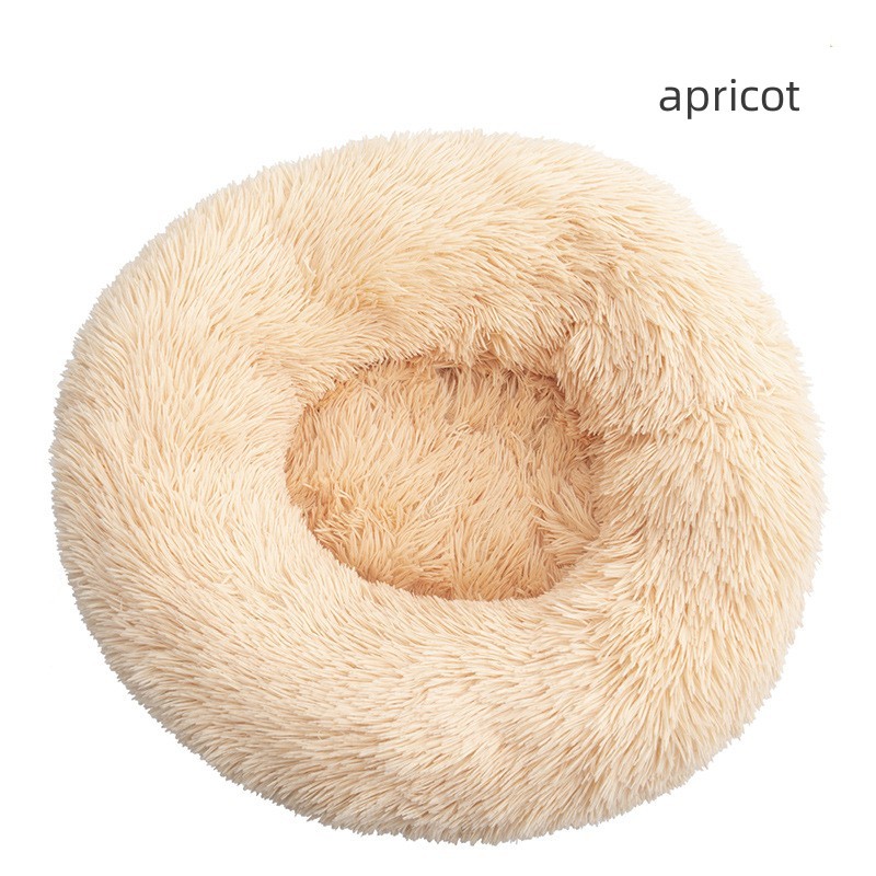 abricot