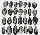 Colgante de collar de cuentas de piedra curativa de fósil negro natural de Orthoceras en forma de gota para arte popular DIY al por mayor - Product Image 4