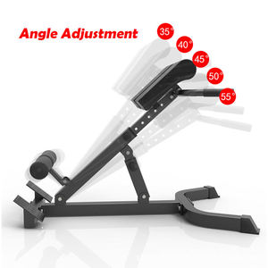 Multifuncional interior ABS silla romana enderezador y cintura <span class=keywords><strong>Abdomen</strong></span> músculo entrenador Fitness entrenamiento <span class=keywords><strong>banco</strong></span> - Product Image 4