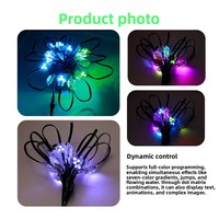 Luz LED Puntual de 3 LED, DC12V DC24V, a Todo Color, Resistente al Agua para Exteriores, Fuente de Luz LED RGBW para Letreros Publicitarios Navideños