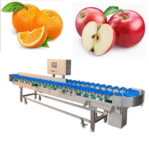 Automatic candy mushroom chicken meat shrimp fish crab Oysters conch sea food grader weight sorting machine