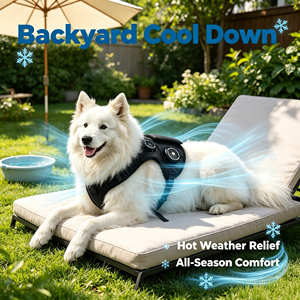 <span class=keywords><strong>Gilet</strong></span> de refroidissement pour chien OEM d'usine, 3 températures réglables, imperméable, léger, pour chiens de grande et moyenne taille - Product Image 2