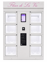 Distributeur automatique de fleurs 24h/24, intérieur et extérieur, avec écran tactile - Très efficace pour la vente de bouquets de fleurs