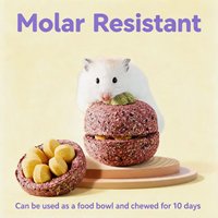 Quanying Pet Natuurlijk Volle Timothee Hooi Kleine Dieren Voedingsvezel Snack voor Konijn Cavia Chinchilla