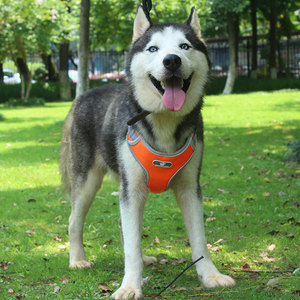 Neuer Easy Control Griff No Pull Reflective Large Dog Harness Orange - Product Image 2