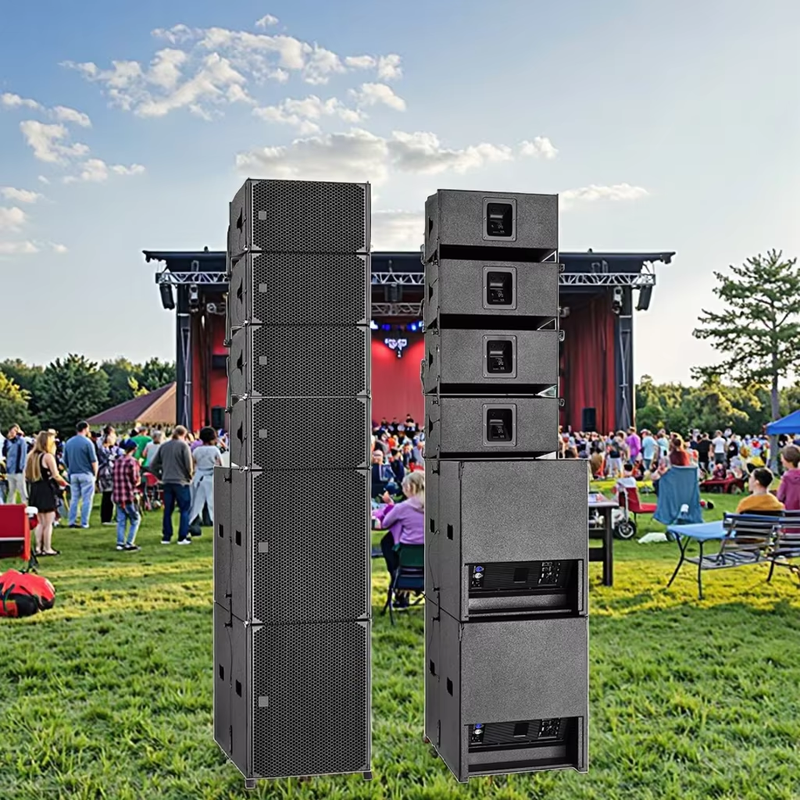 Professional Linear Array Speaker System S218C