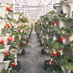 Pots de fleurs verticaux en plastique pour jardin, pots à fraises empilables pour plantes, vente en gros - Product Image 4