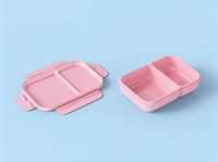 Boîte à lunch rectangulaire en plastique de 800 ml sans BPA, isolée, avec 2 compartiments étanches, qualité alimentaire, facile à transporter