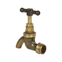 Robinet d'eau extérieur vintage en laiton avec poignée en T et bec courbé, filetage externe, pour jardin et cour