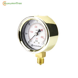 Schmiede Messing-Truckmessgerät - Product Image 2