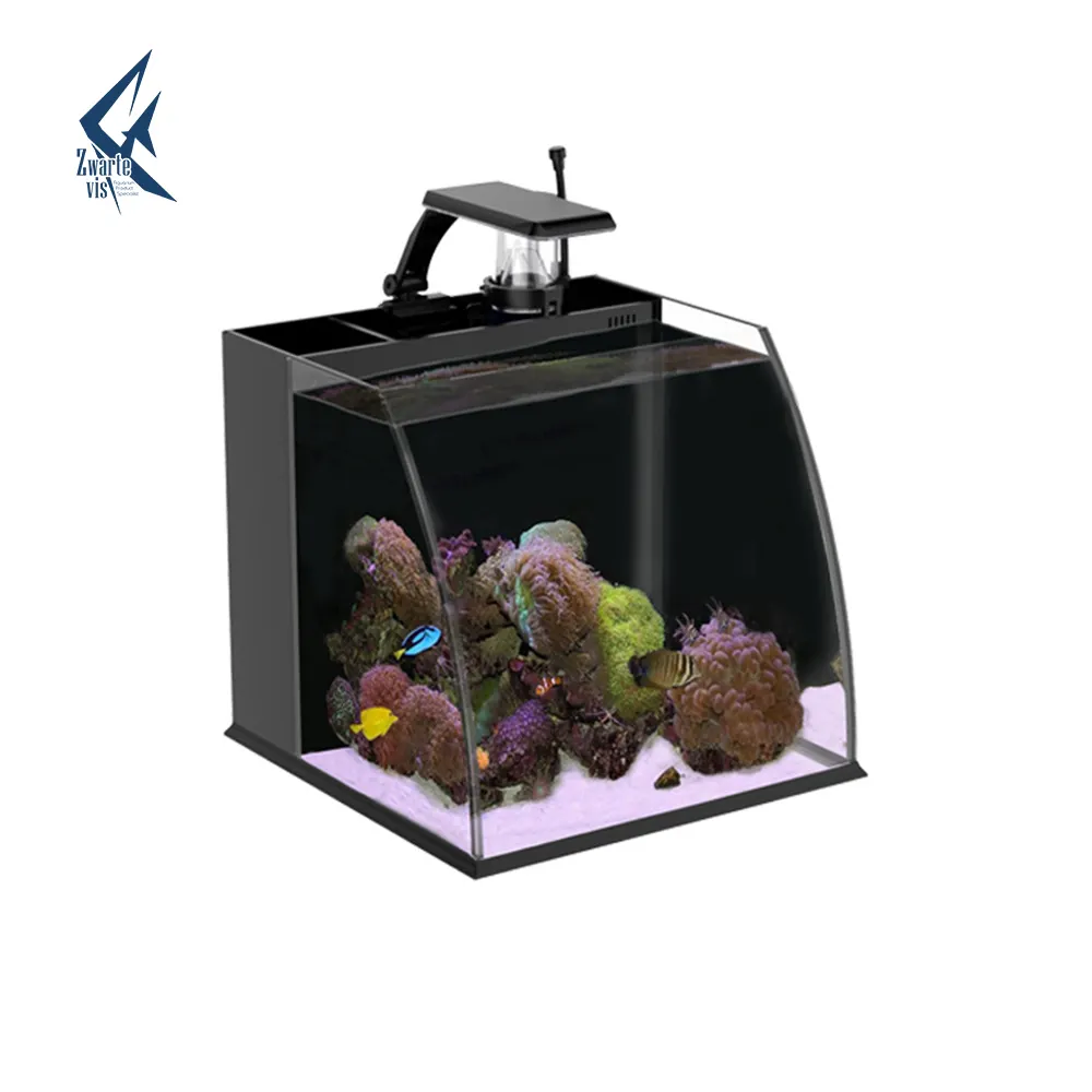 Mini Aquarium carré créatif avec filtre, petit Aquarium de poisson de mer, vente chaude Amazon