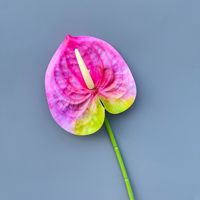 Offre Spéciale – Fleur d'Anthurium Artificielle Effet Naturel, Bourgogne, Verte, Rose, Tige en Latex 60cm pour Arrangements Floraux de Mariage et Décoration Intérieure