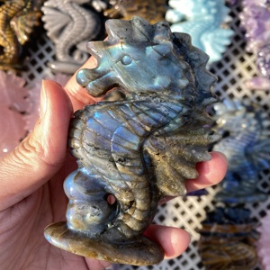 Vente en gros de cristaux de haute qualité, hippocampe en cristal de 10 cm, artisanat sculpté à la main, améthyste de rêve, quartz, labradorite, décoration d'intérieur, cadeaux en cristal - Product Image 4