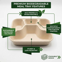 Gezonde Portie 4-delige Suikerrietbagasse Sectievoedselcontainer Bento Box Deksel 1000ml Schoolkantine Servies Benodigdheden