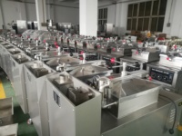 Friteuse à Pression Automatique au Gaz Professionnelle pour Poulet