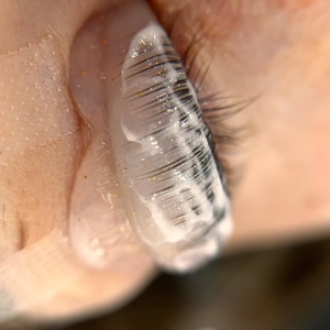 Lash Lift Pad NO Glue Eyelash Perm Rod Glueless Self Sticky Lash Lifting Shields Soft <span class=keywords><strong>Lami</strong></span> Lamination Roller - Product Image 3