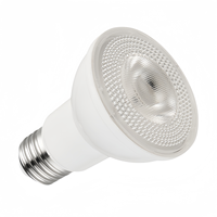 E27 Base 12V Entrée 8W Lumière du jour blanche chaude Par20 LED Ampoule de piscine pour petit spa