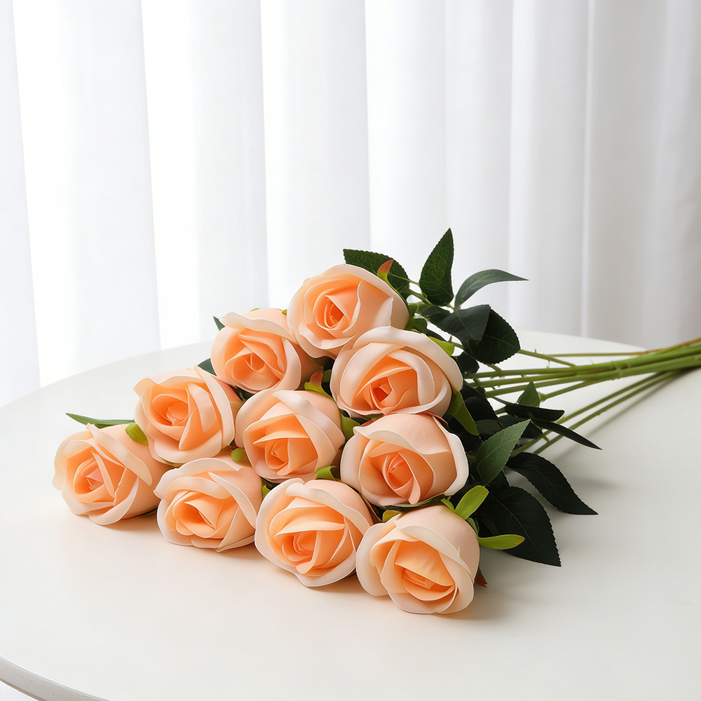 Orange (rose des montagnes enneigées)
