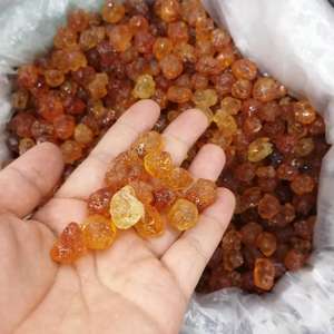 Jamur telinga salju jamur perak putih dan gusi persik dapat dimakan alami campur - Product Image 2