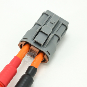 맞춤형 새로운 에너지 고전류 2P 여성 7123-4220-40 커넥터 골판지 파이프와 배선 하네스 - Product Image 5