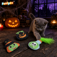 Famipet Fabricant OEM Personnalisé Nouveau Thème Halloween Design Fantôme Jouet d'intérieur pour chaton Peluche douce et froissée avec herbe à chat Ensemble de jouets pour chat