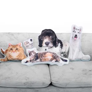 Vải Làm Vỏ Gối Gối Bao Gồm Anime Dakimakura Gối Hình Dạng Không Thường Xuyên Mới Tùy Chỉnh In - Product Image 1