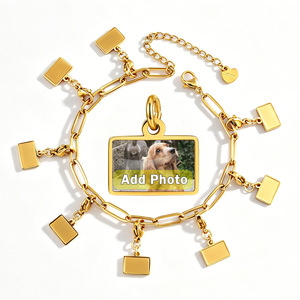 Pulsera de Cadena de Acero Inoxidable con Dijes Personalizables de Foto, Chapada en Platino, Estilo Paperclip, Unisex, a la Moda, Venta al por Mayor - Product Image 1