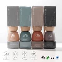 Diffuseur de parfum en verre personnalisé 100 ml, décoration d'intérieur, aromathérapie avec boîte d'emballage