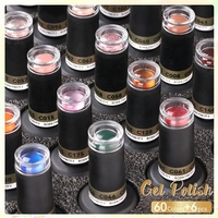 BORN PRETTY PRO Fournitures pour Ongles Vernis Gel 15ml Ensemble Complet Personnalisé OEM Sans HEMA Collection de 60 Couleurs Populaires Kit de Vernis Gel