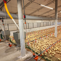 Équipement clé en main pour l'élevage avicole, système d'alimentation et d'abreuvement automatique pour poulets de chair, pour les grands projets d'élevage de poulets