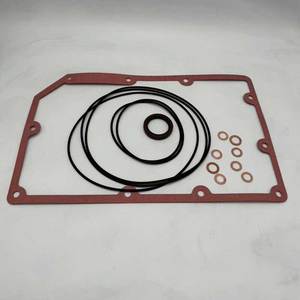 VC202 VC303 Overhaul <b>Kit</b> Wearing Parts With Filter Vanes Seal Repair Parts for Vacuum Pump - Product Image 5