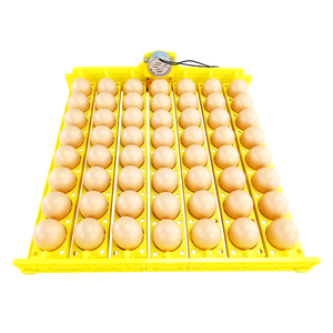24- 156 Oeufs Incubateur Tourner Plateau Volaille Incubation Équipement Poulets Canards et autres Volaille Incubateur Utomatically Turn Oeufs - Product Image 3